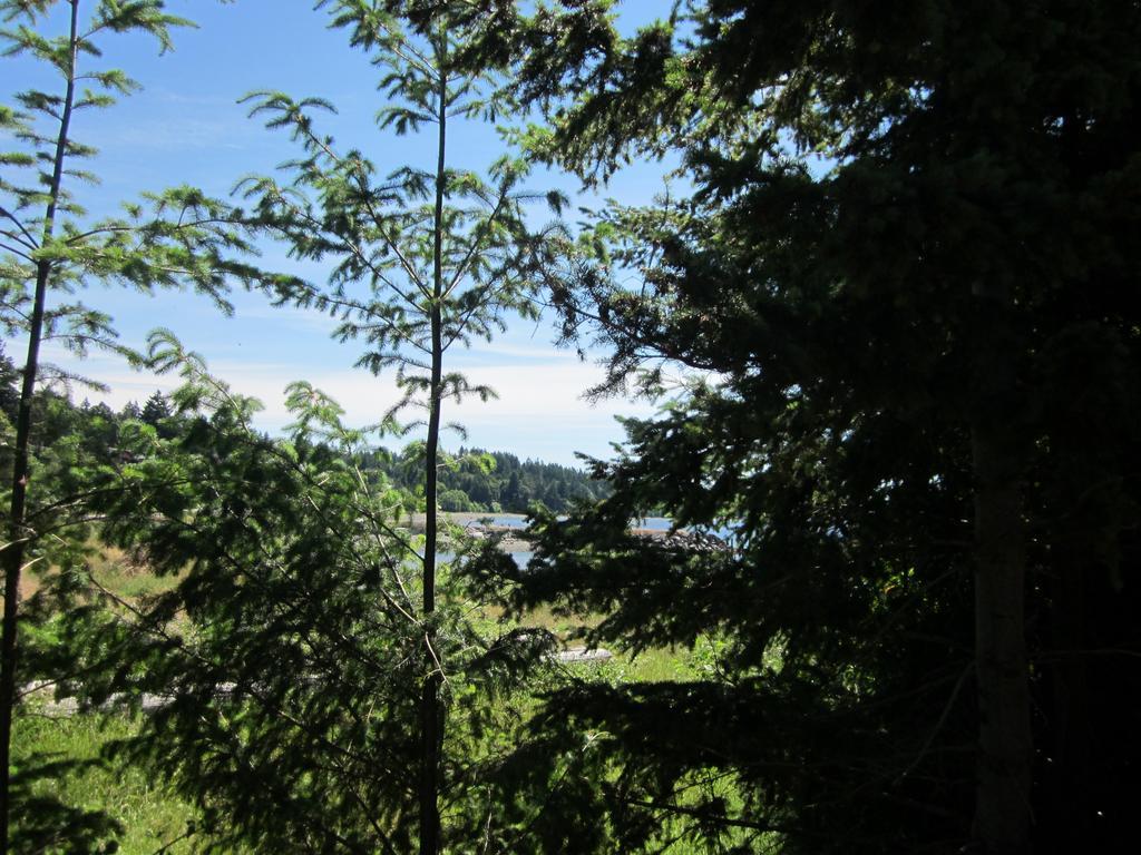 Oceanside Resort พาวเวลล์ ริเวอร์ ภายนอก รูปภาพ